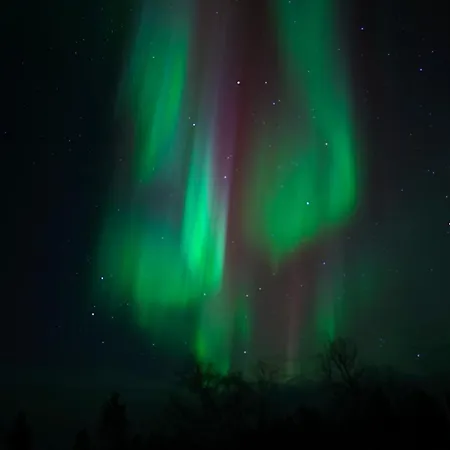 Muotkan Ruoktu Tunturikyla Inari