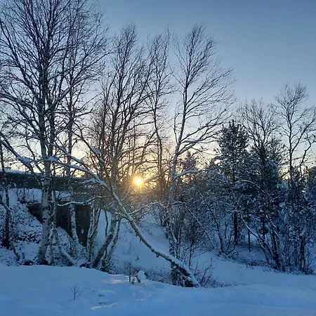 Muotkan Ruoktu Tunturikyla Tatil Evi Inari