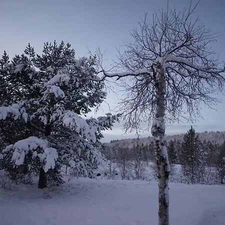 Tatil Evi Muotkan Ruoktu Tunturikyla *