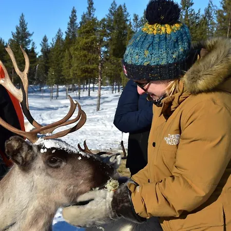Muotkan Ruoktu Tunturikyla * Inari