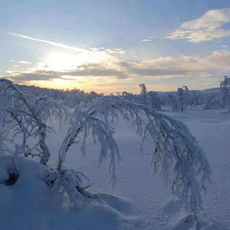 Holiday park Muotkan Ruoktu Tunturikyla Inari