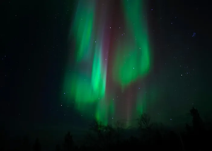 Muotkan Ruoktu Tunturikyla Inari