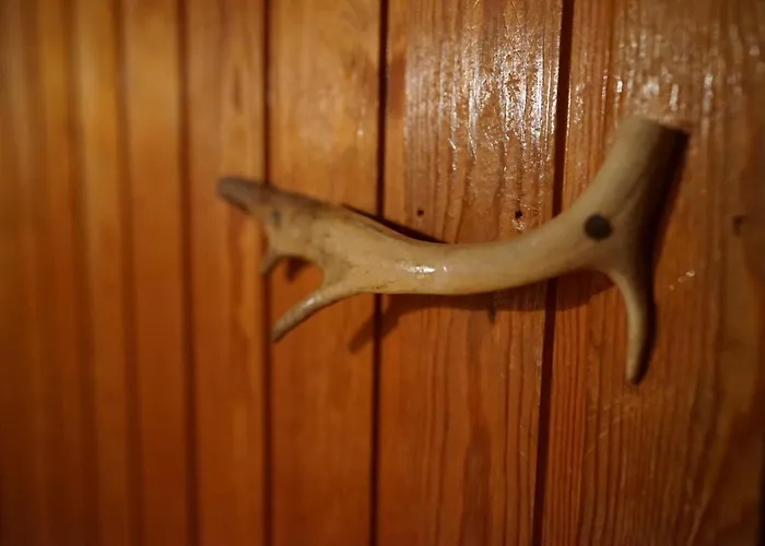 Muotkan Ruoktu Tunturikyla