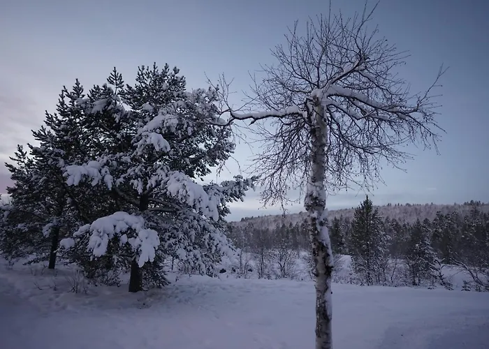 Dom wakacyjny Muotkan Ruoktu Tunturikyla *