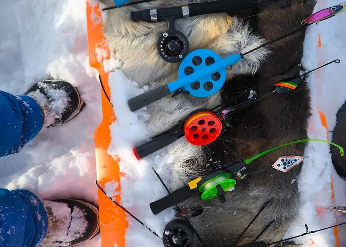 Muotkan Ruoktu Tunturikyla *