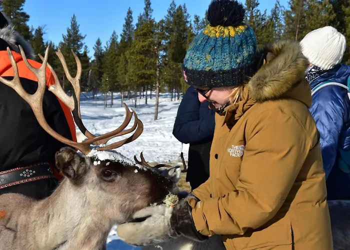 Muotkan Ruoktu Tunturikyla * Inari