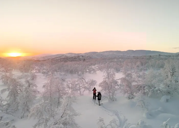 Dom wakacyjny Muotkan Ruoktu Tunturikyla *